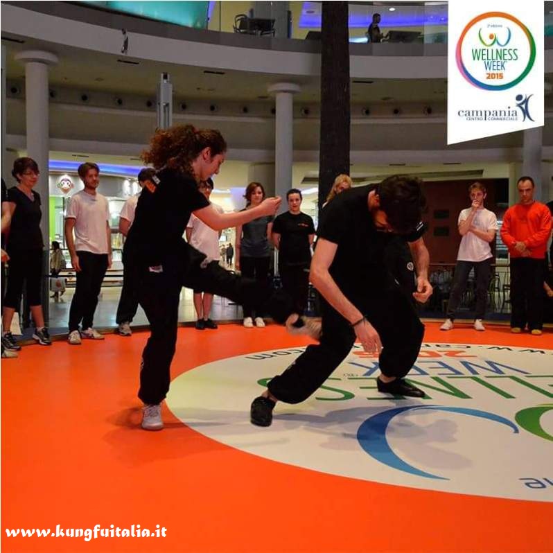 Wellness week Campania Caserta Kung Fu Academy con Sifu Salvatore Mezzone Tai Chi Wing Chun Tjun Tsun shaolin e Ip Man arti marziali www.kungfuitalia.it IMAA Italia (7)